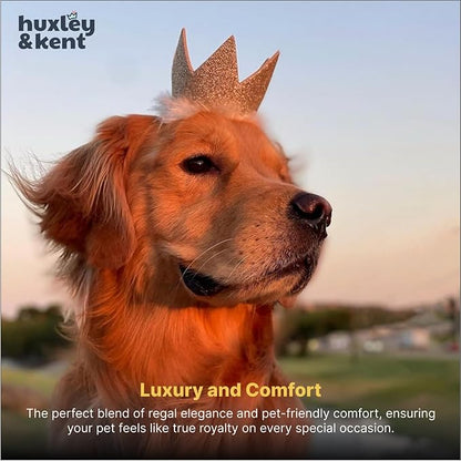 Huxley & Kent Pet Party Crown – Adjustable Glitter Crown Hat with SnugFit Straps – Party Accessory for Dogs & Cats – Gold, Small
