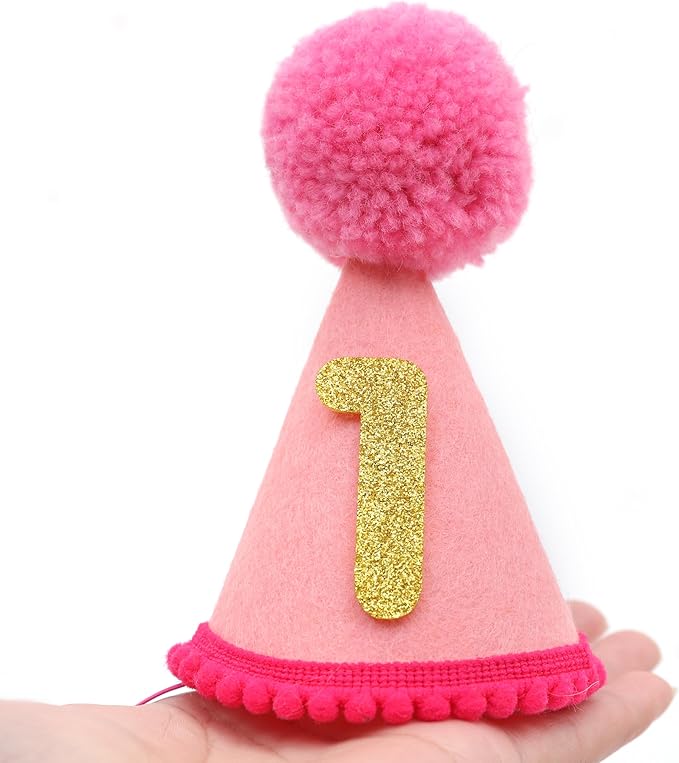 Pet Birthday Hat with Interchangeable Numbers 1-10 | Adjustable Pet Party Cone Hat for Dogs & Cats | Puppy Birthday Photo Props for 1st to 10th Birthday Celebrations (Pink Birthday Pet Hat)