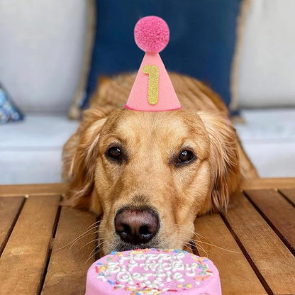Pet Birthday Hat with Interchangeable Numbers 1-10 | Adjustable Pet Party Cone Hat for Dogs & Cats | Puppy Birthday Photo Props for 1st to 10th Birthday Celebrations (Pink Birthday Pet Hat)