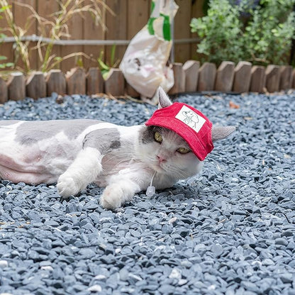 Pet Dog Baseball Cap, Cat Hat, Cat Dog Sun Cap with Ear Holes, Adjustable Puppy Outdoor Sun Hat (Red, X-Large)
