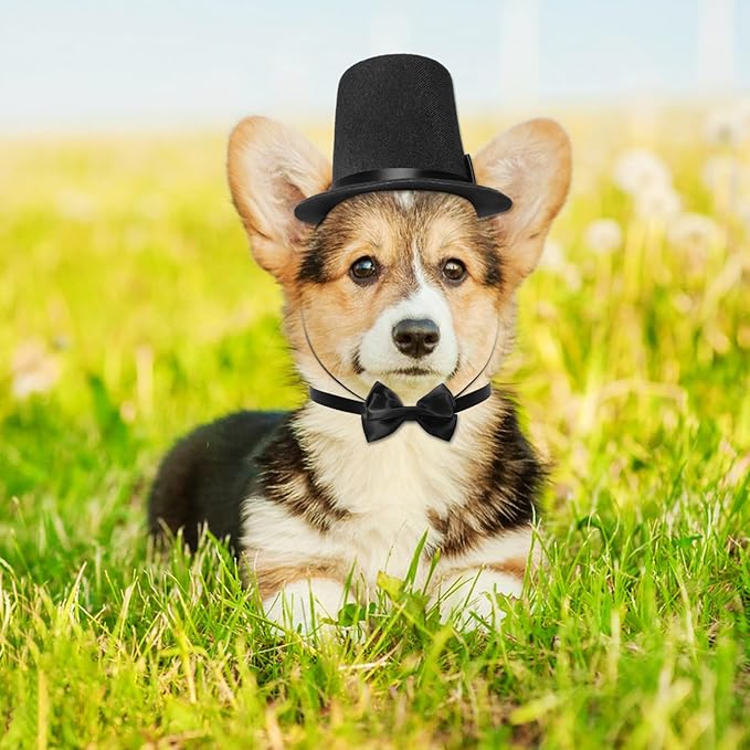 Pet Formal Accessories Set 2 Pcs Dog Costume Top Hat with Formal Pet Tuxedo Bowtie/Necktie Birthday Party Halloween Gradation Christmas Dog Cat Costumes Accessories Black One Size