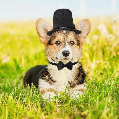 Pet Formal Accessories Set 2 Pcs Dog Costume Top Hat with Formal Pet Tuxedo Bowtie/Necktie Birthday Party Halloween Gradation Christmas Dog Cat Costumes Accessories Black One Size