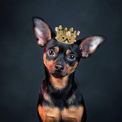 PET SHOW 2pcs Small Dog Crown Headband Puppies Rabbit Cat Hat for Birthday Party Silver Gold Rhinestone Faux Pearl Crown for Pet Holiday Wedding Hair Accessories Photo Prop Costume
