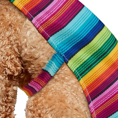 Rubies Serape and Hat Pet Costume Pet Costume for Dogs or Cats, XL