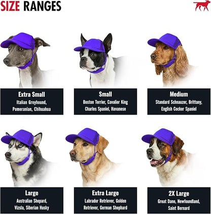 Tuff Pupper Dog Baseball Cap | UV Protection Dog Sun Hat | Breathable Lightweight Design | Secure Adjustable Chin Strap | Quick-Dry Fabric | Reinforced Brim | Small Medium Large Dogs (Purple, XXL)